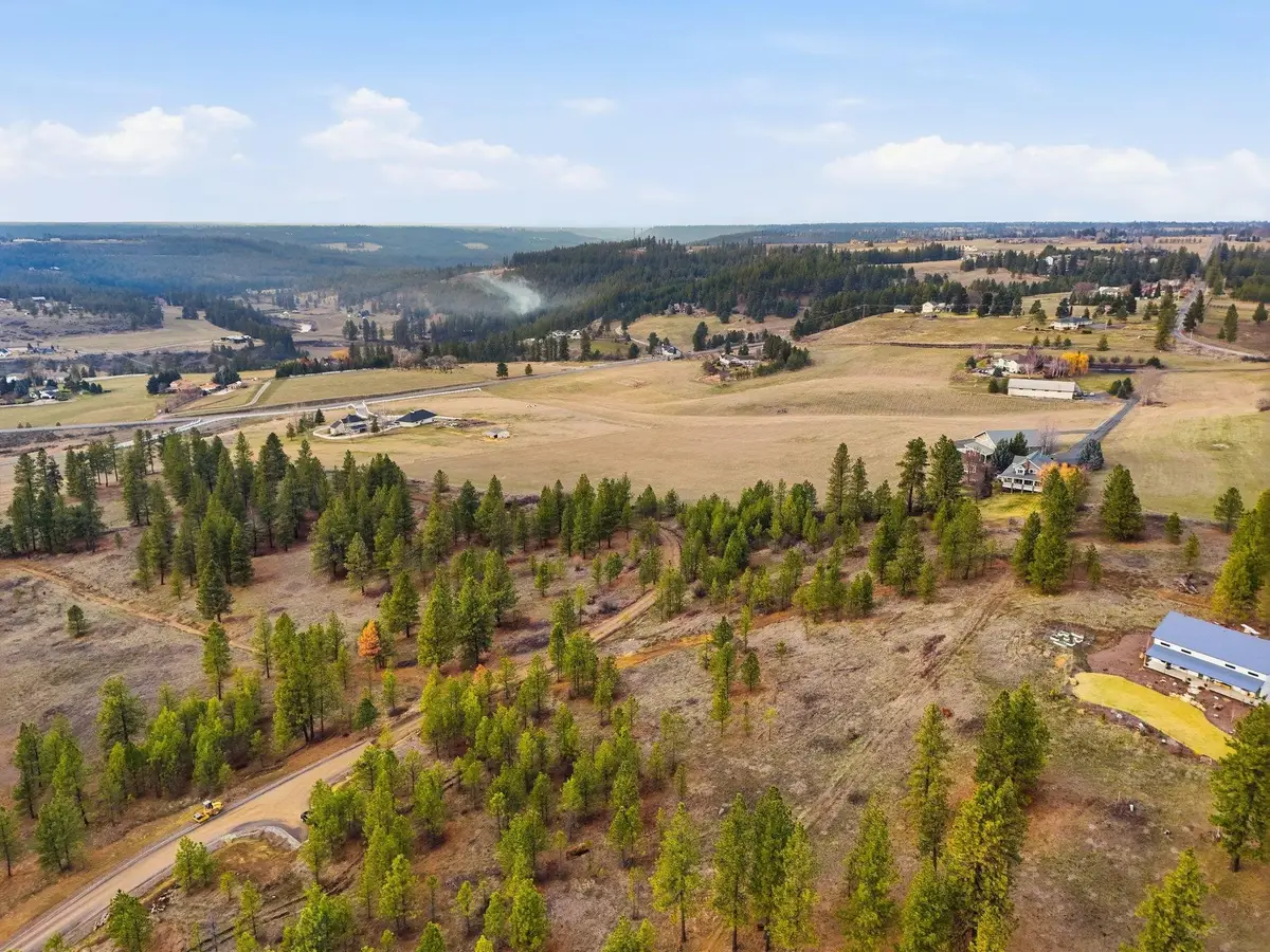 3344 Balsam Hill Ln, Valleyford, WA 99036 - #1