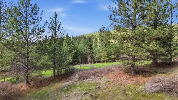 151XX E Cooper Rd, Mead, WA 99021