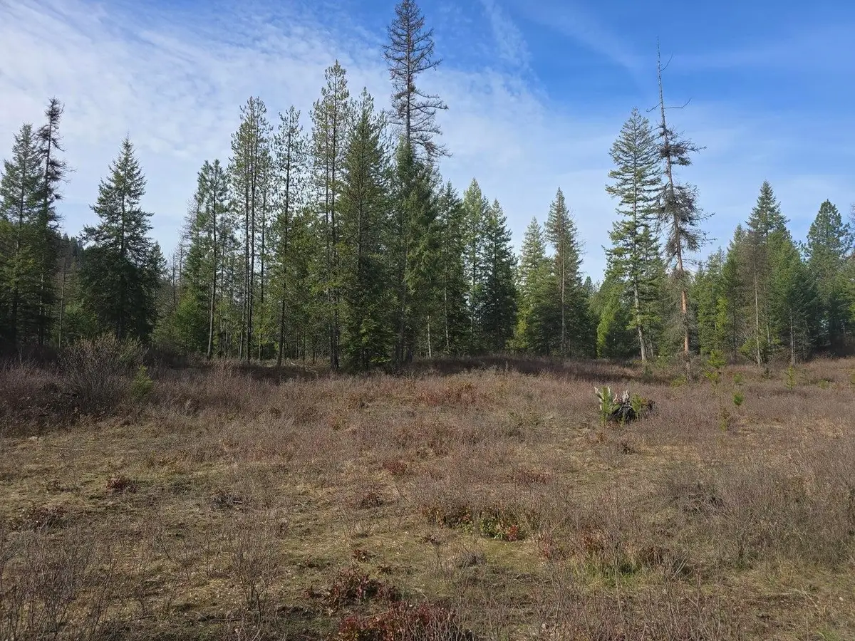 3XXX Lot #11 Larkspur Way, Kettle Falls, WA 99141-0000 - #1