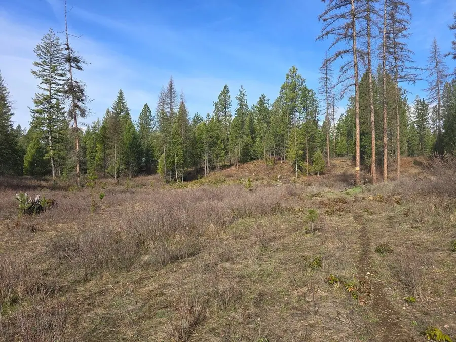 3XXX Lot #11 Larkspur Way, Kettle Falls, WA 99141-0000 - #2