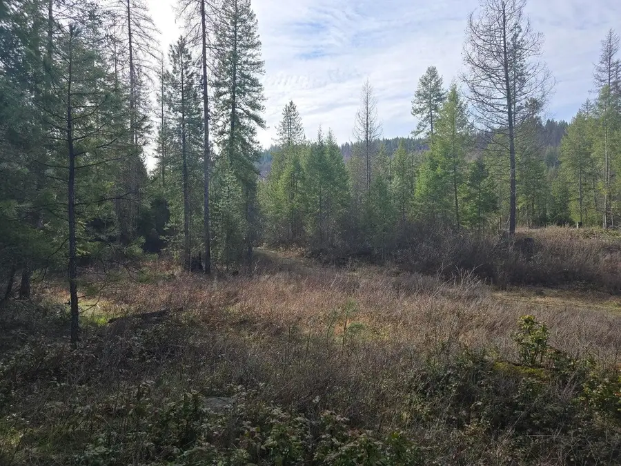 3XXX Lot #11 Larkspur Way, Kettle Falls, WA 99141-0000 - #3