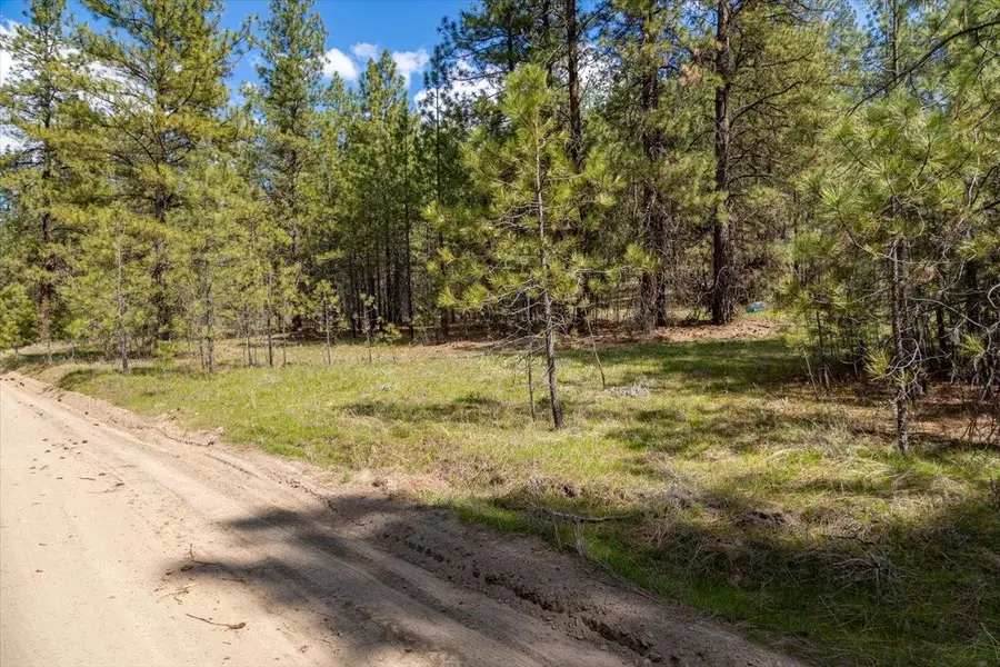 0 N Mathias Ln, Nine Mile Falls, WA 99226 - #2