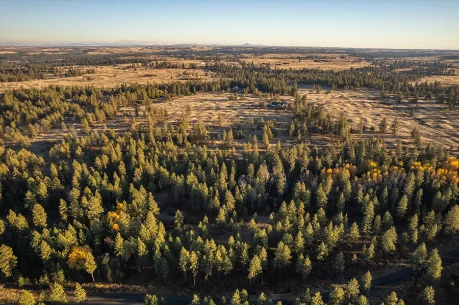TBD Lorna Ln, Amber Cheney South, WA 99002 - #2