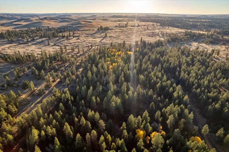 TBD Lorna Ln, Amber Cheney South, WA 99002 - #3