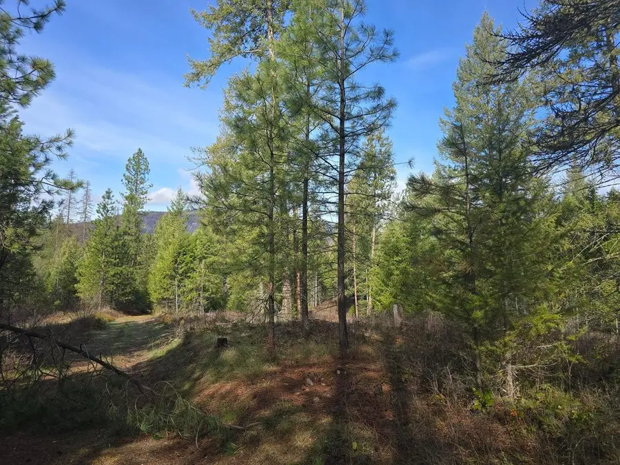 3XXX Lot #12 Larkspur Way, Kettle Falls, WA 99141-0000 - #2