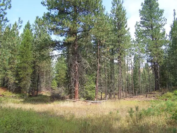 3XXX Lot #13 Larkspur Way, Kettle Falls, WA 99141-0000