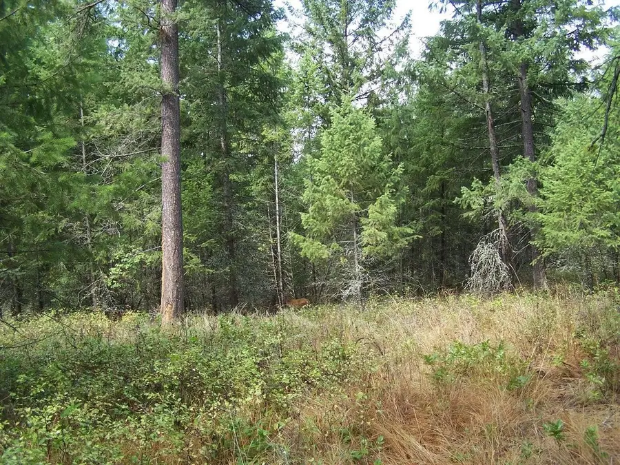 3XXX Lot #13 Larkspur Way, Kettle Falls, WA 99141-0000 - #3