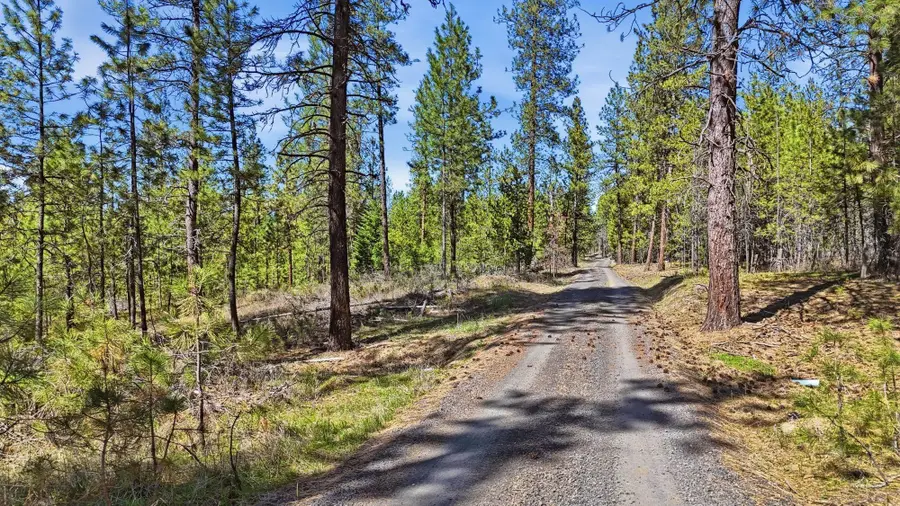 6XXX E Elk Chattaroy Rd, Chattaroy, WA 99003 - #2