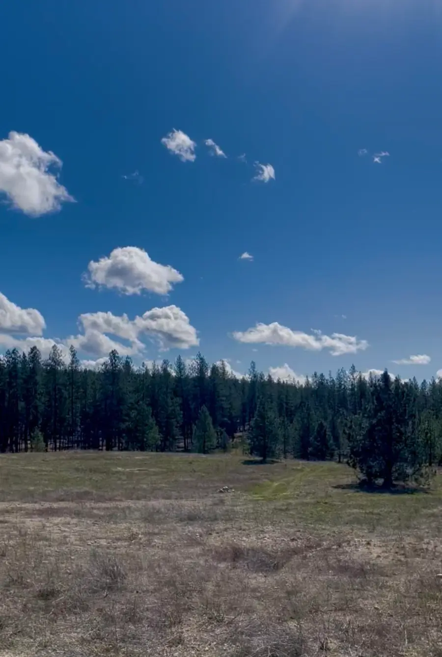 XX W Mckenzie Woolard Rd, Nine Mile Falls, WA 99006 - #3