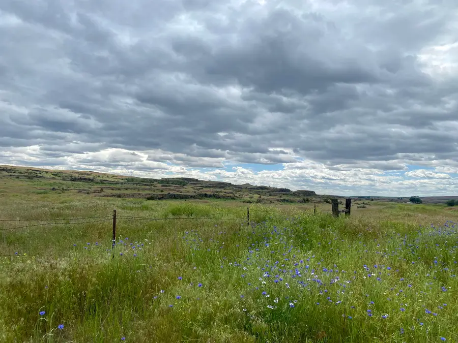 2XX Nka, Sprague, WA 99032 - #2