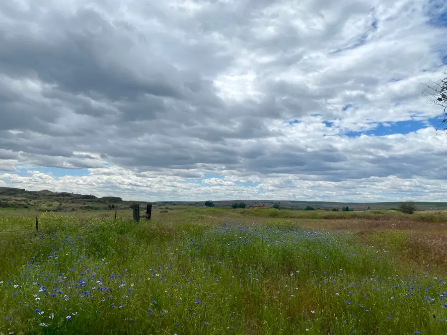 2XX Nka, Sprague, WA 99032 - #3