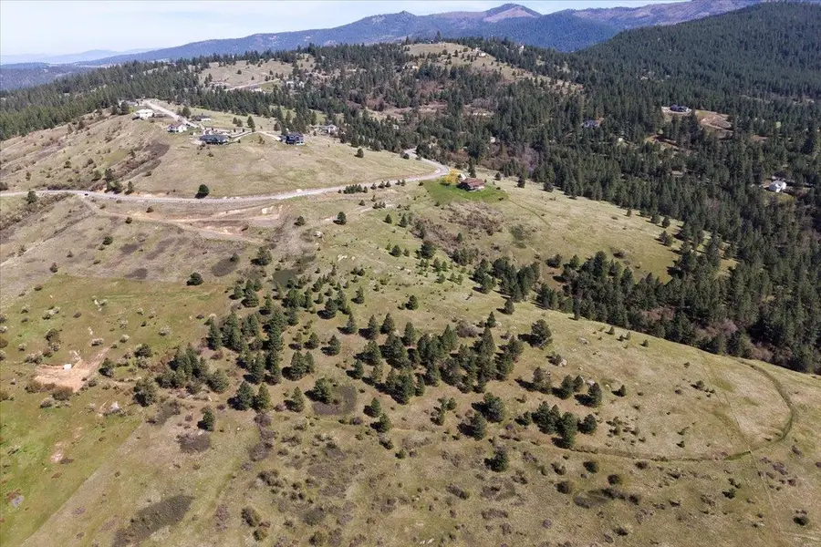 4002 Quinimose Rd, Liberty Lake, WA 99019 - #3