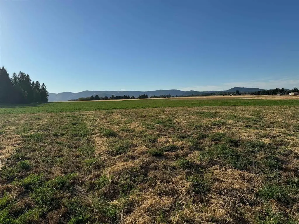 XXXX N N Spotted Rd Rd, Deer Park, WA 99006 - #1