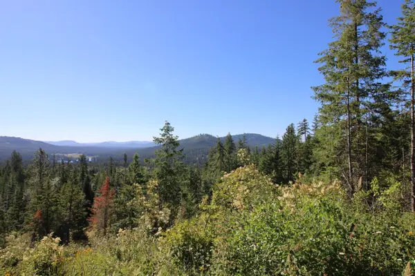 XXX Buck Creek Rd, Newport, WA 99156