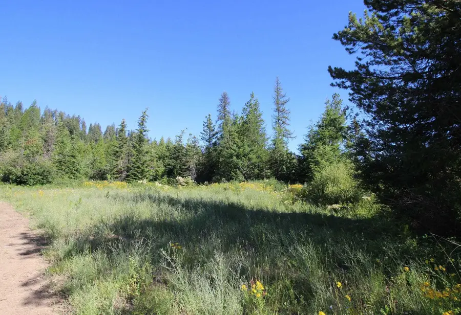 XXX Buck Creek Rd, Newport, WA 99156 - #3