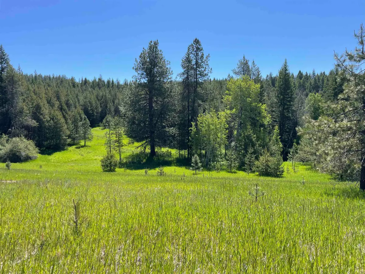 4435 Whittier (lot 2) Rd, Clayton, WA 99110 - #1