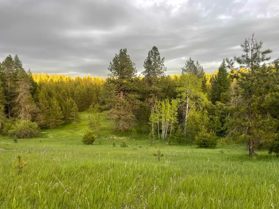 4435 Whittier (lot 2) Rd, Clayton, WA 99110 - #2