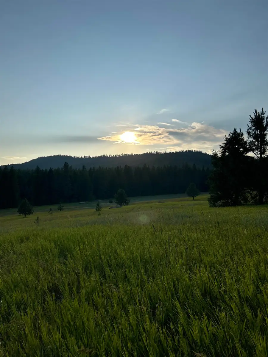 4435 Whittier (lot 3) Rd, Clayton, WA 99110 - #2