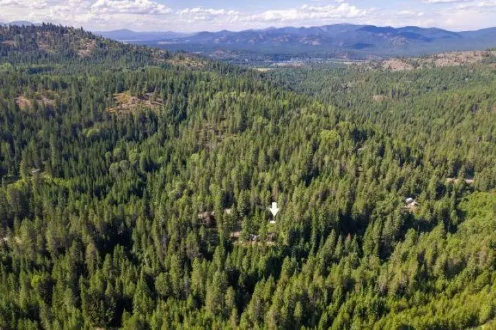 2157/2262 Mccloud Creek Rd, Newport, WA 99156 - #3