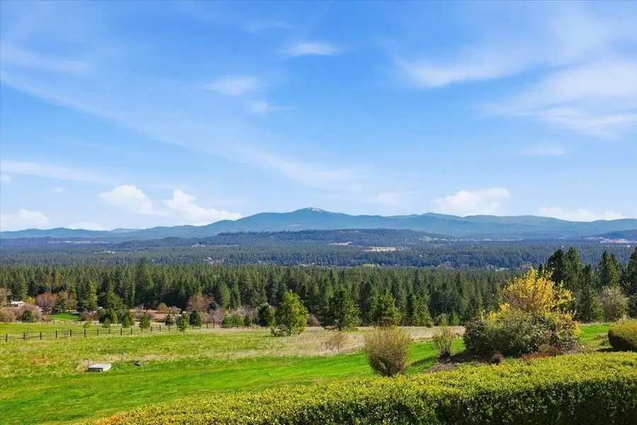 21710 N Saddle Mountain Ln, Colbert, WA 99005 - #2