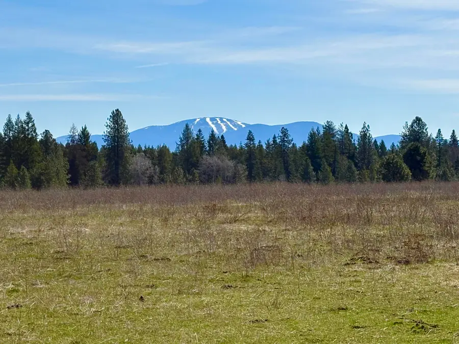 200 Brook Dr, Elk, WA 99009 - #2