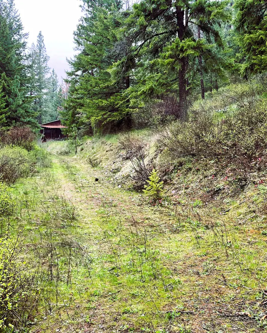 3561 Ravenwood Way, Valley, WA 99181 - #2