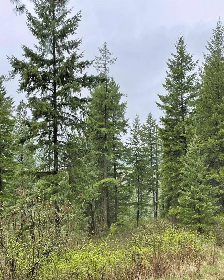 3561 Ravenwood Way, Valley, WA 99181 - #3