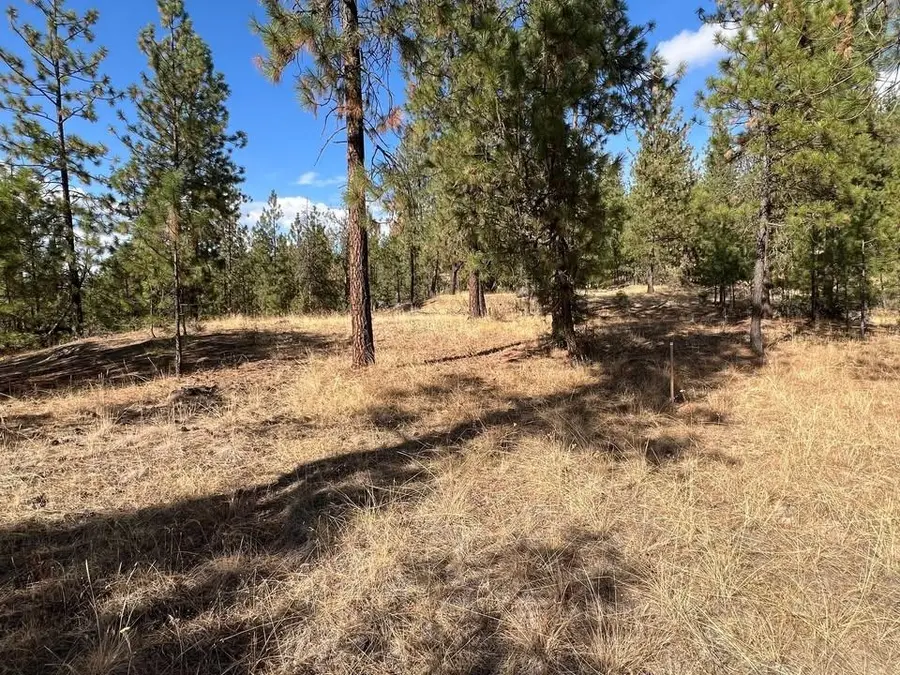 TBD N Corkscrew Canyon Rd, Tumtum, WA 99013 - #2