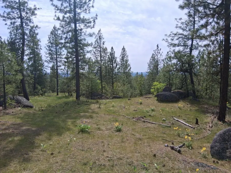 TBD N Corkscrew Canyon Rd, Tumtum, WA 99013 - #3