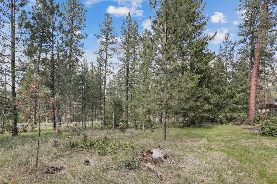 XXX E Shelly Ct, Veradale, WA 99037 - #2