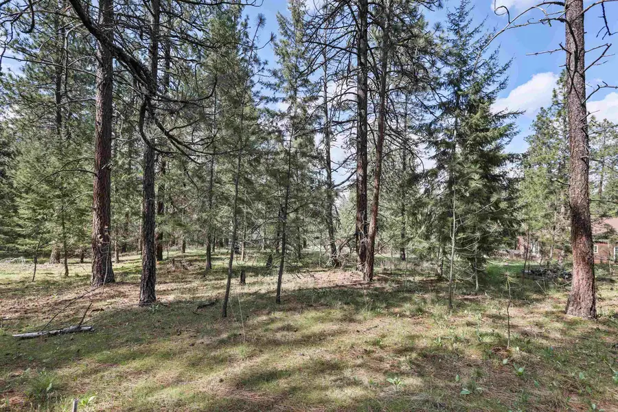 XXX E Shelly Ct, Veradale, WA 99037 - #3