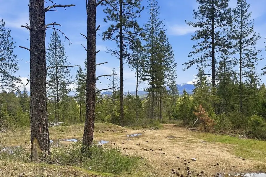 8300 E Lodge Pole Ln Ln, Chattaroy, WA 99003 - #3