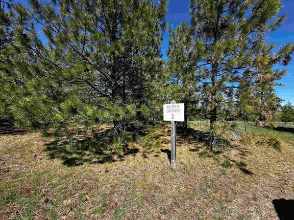 34820 Partridge Ln N Ln, Davenport, WA 99122