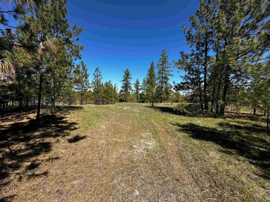 34820 Partridge Ln N Ln, Davenport, WA 99122 - #2