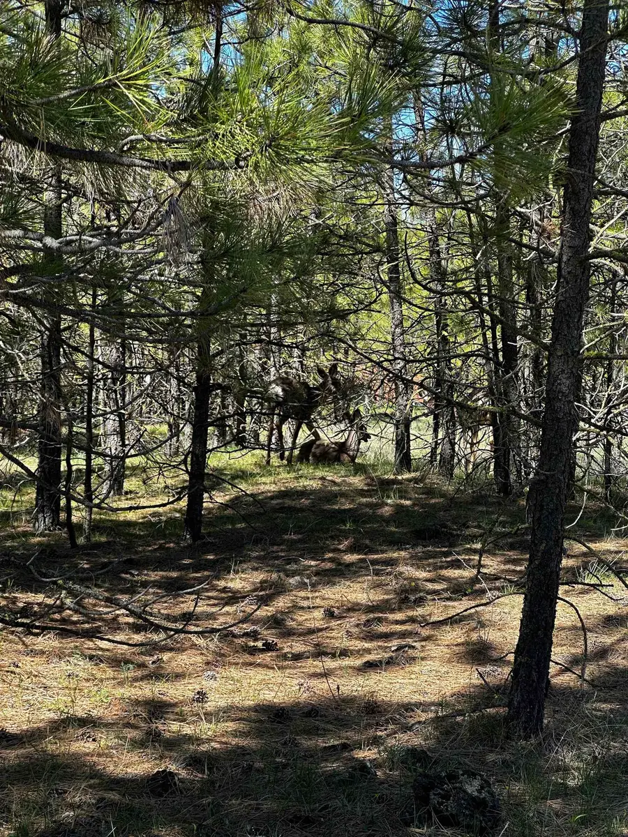 34820 Partridge Ln N Ln, Davenport, WA 99122 - #3