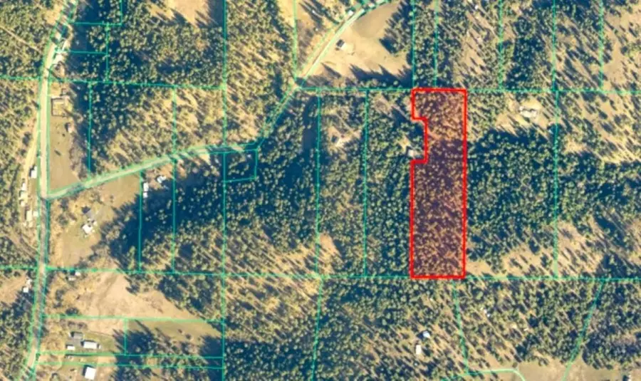 11XXX Hartley Ln, Chattaroy, WA 99003 - #3