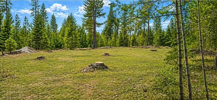 6833 Drum Rd, Springdale, WA 99173 - #2