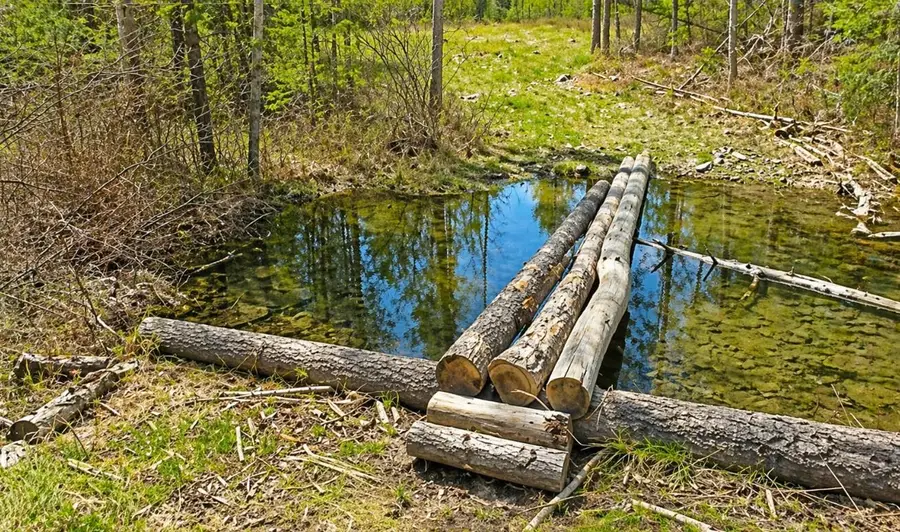 6833 Drum Rd, Springdale, WA 99173 - #3