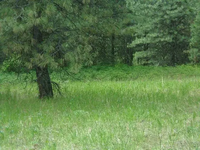 X11X Hoag Rd, Valley, WA 99181 - #1