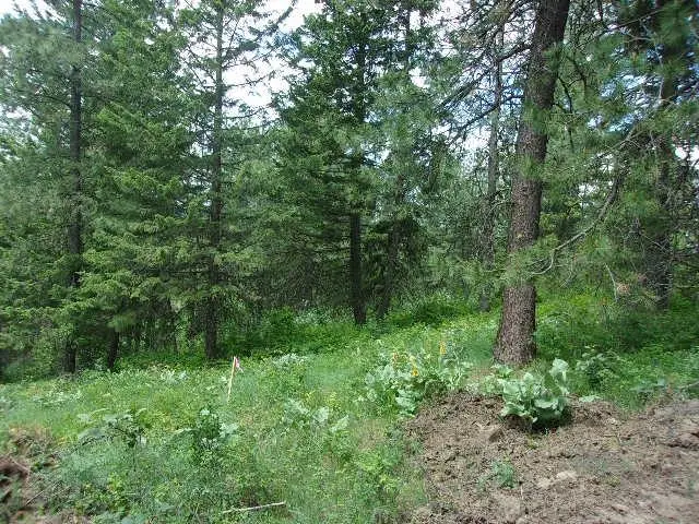 X12X Hoag Rd, Valley, WA 99181 - #3