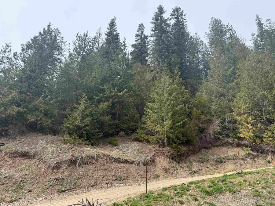 4851 Best Chance Rd, Usk, WA 99180 - #2