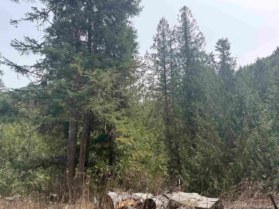 4851 Best Chance Rd, Usk, WA 99180 - #3