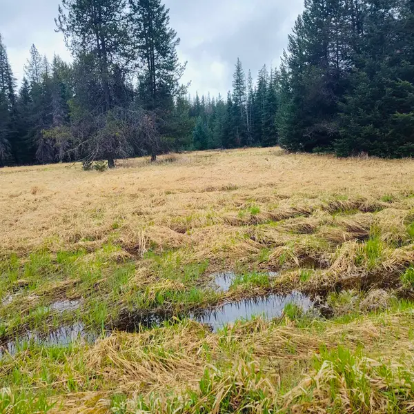 1101 Larch Ln, Cusick, WA 99119