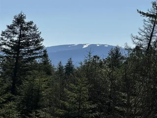 TBD Waldrons Ln, Chattaroy, WA 99009 - #2