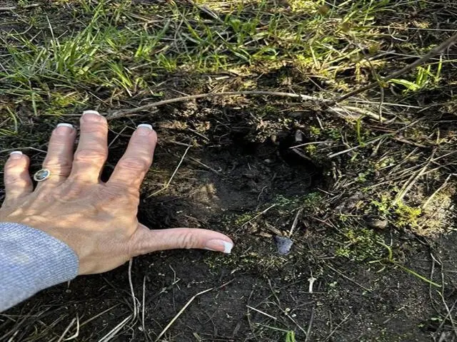 TBD Waldrons Ln, Chattaroy, WA 99009 - #3