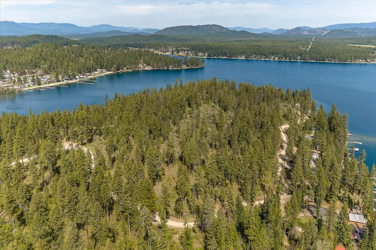 43989 Silver Beach Rd, Loon Lake, WA 99148 - #1