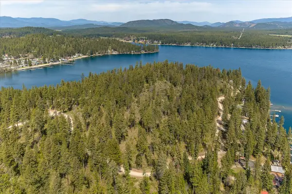 43989 Silver Beach Rd, Loon Lake, WA 99148