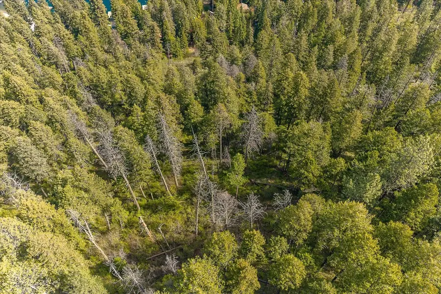 43989 Silver Beach Rd, Loon Lake, WA 99148 - #2