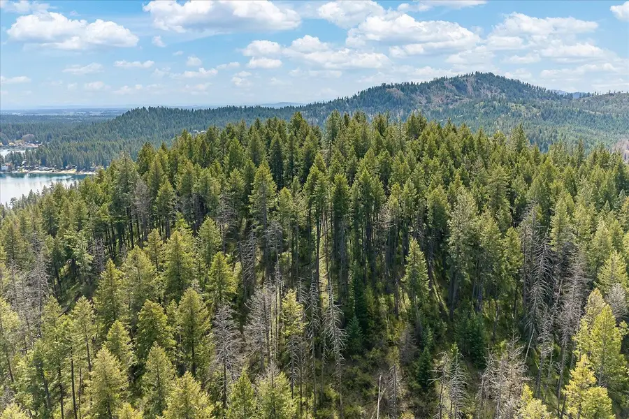 43989 Silver Beach Rd, Loon Lake, WA 99148 - #3