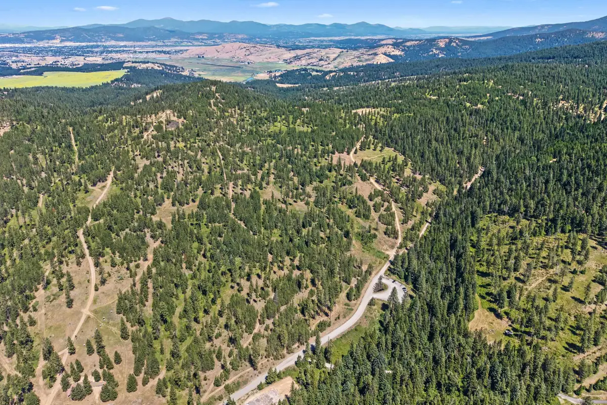 NKA E Belmont Rd, Mica, WA 99023 - #1